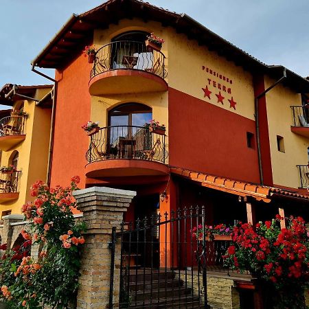 Pension Terra Alba Iulia Esterno foto